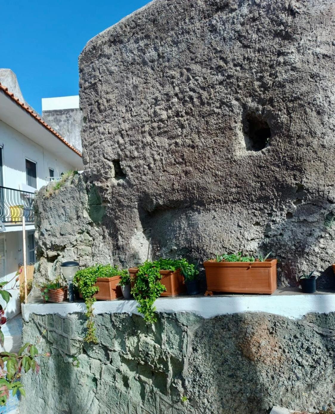 Appartamento Casa Delle Rose Ischia Esterno foto