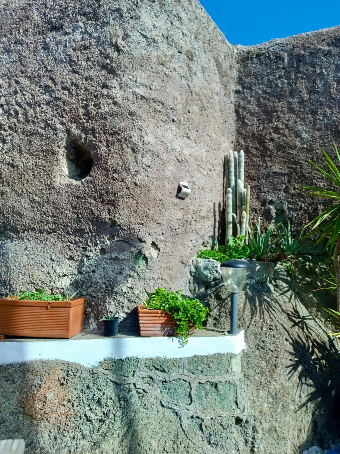Appartamento Casa Delle Rose Ischia Esterno foto